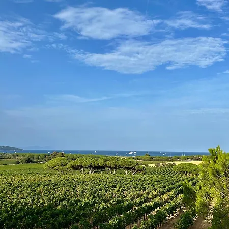 Alfaline * Port Grimaud