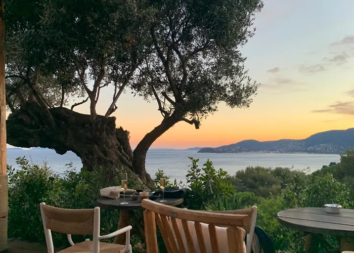 Alfaline ميناء غيرمود