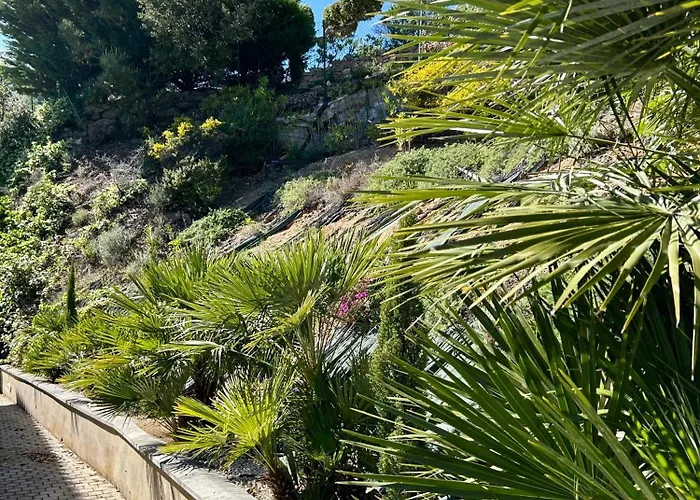 فيلة Alfaline ميناء غيرمود