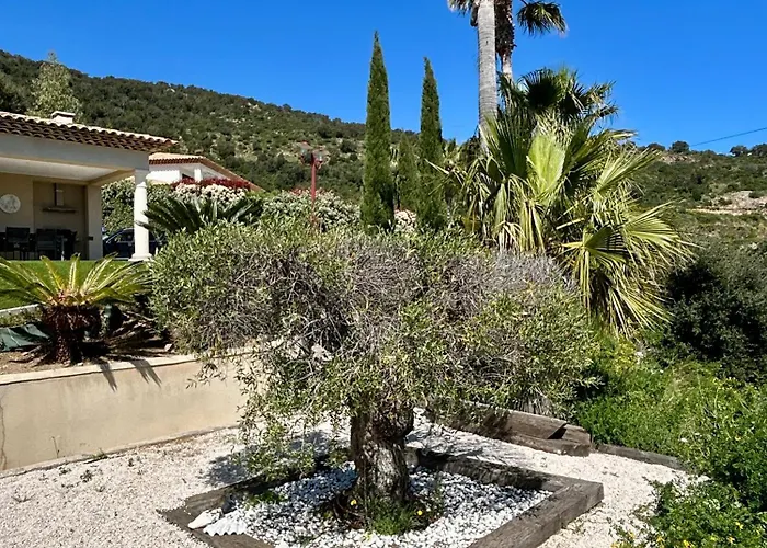 فيلة Alfaline ميناء غيرمود