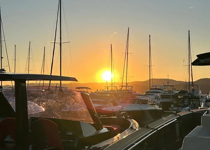 Alfaline فيلة ميناء غيرمود