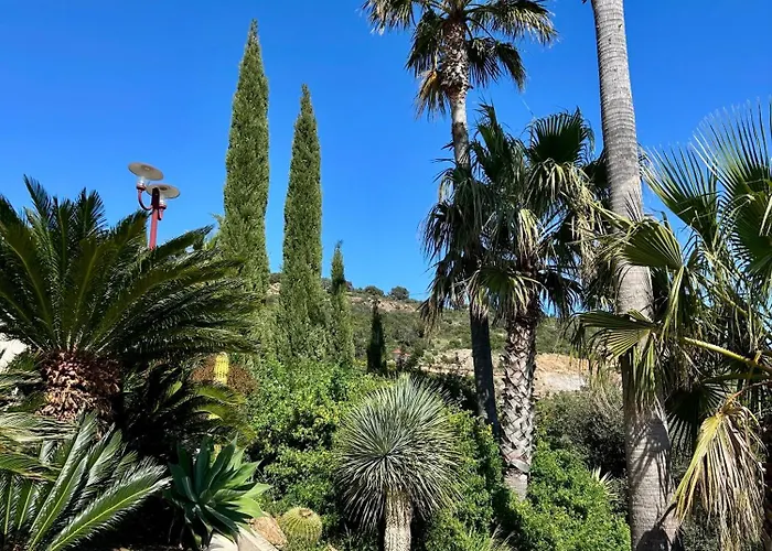 Alfaline * ميناء غيرمود